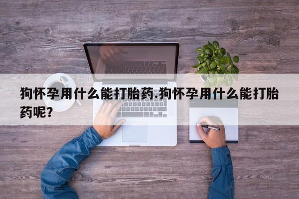 私人卖打胎药微信号，狗怀孕用什么能打胎药.狗怀孕用什么能打胎药呢？