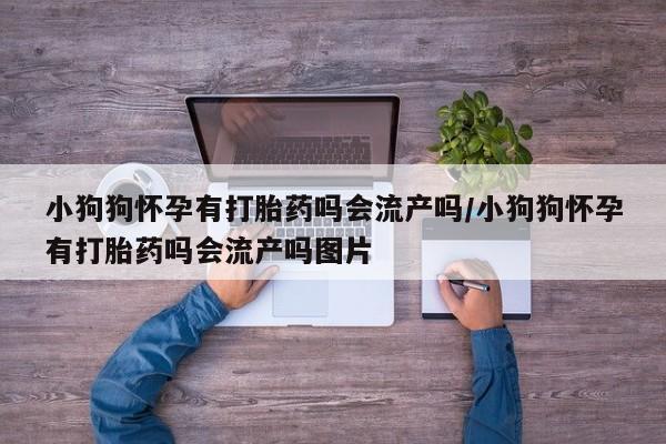 私人卖打胎药微信号，小狗狗怀孕有打胎药吗会流产吗/小狗狗怀孕有打胎药吗会流产吗图片