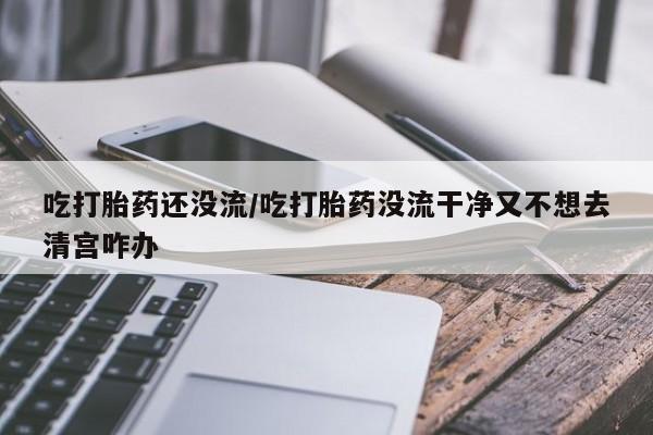 私人卖打胎药微信号，吃打胎药还没流/吃打胎药没流干净又不想去清宫咋办