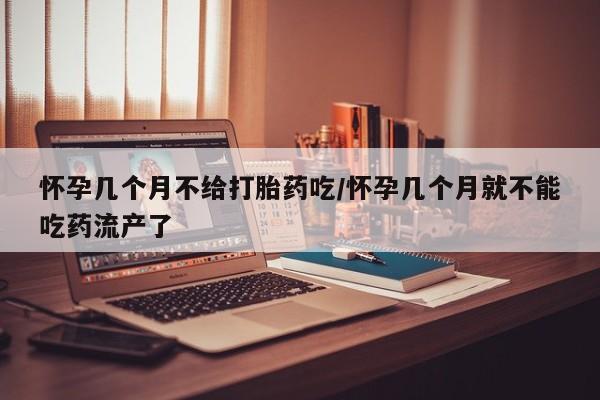 私人卖打胎药微信号，怀孕几个月不给打胎药吃/怀孕几个月就不能吃药流产了