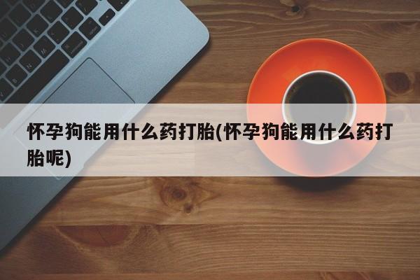 私人卖打胎药微信号，怀孕狗能用什么药打胎(怀孕狗能用什么药打胎呢)